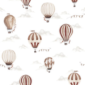 Hot Air BallonS